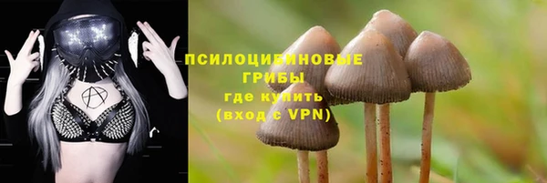mix Абаза