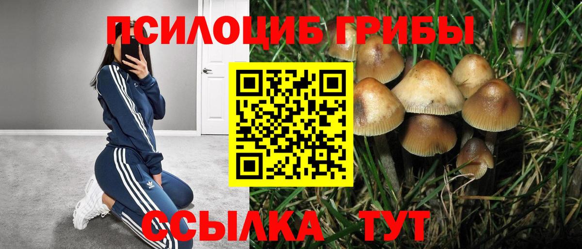 Галлюциногенные грибы мицелий  Вход с VPN  Лабытнанги 